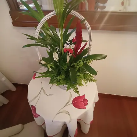 Mar Avilla Espectacular Ria De Vigo Con Parking Playa Appartement *