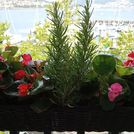 Mar Avilla Espectacular Ria De Vigo Con Parking Playa Lejlighed Moaña