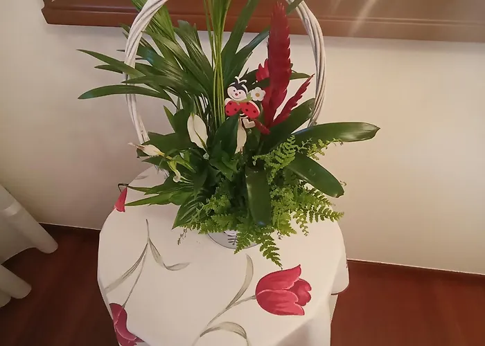 Mar Avilla Espectacular Ria De Vigo Con Parking Playa Apartament *