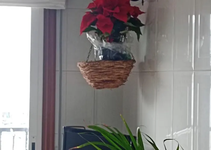 Apartament Mar Avilla Espectacular Ria De Vigo Con Parking Playa *